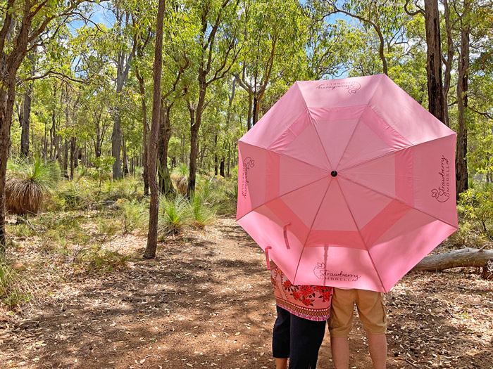 bugendore park, Wungong Regional Park. Strawberry Umbrella marriage elopement style ceremonies outdoors