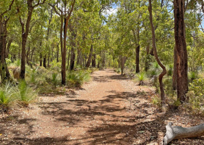 bugendore park, wungong regional park south of perth strawberry umbrella marriage consultants