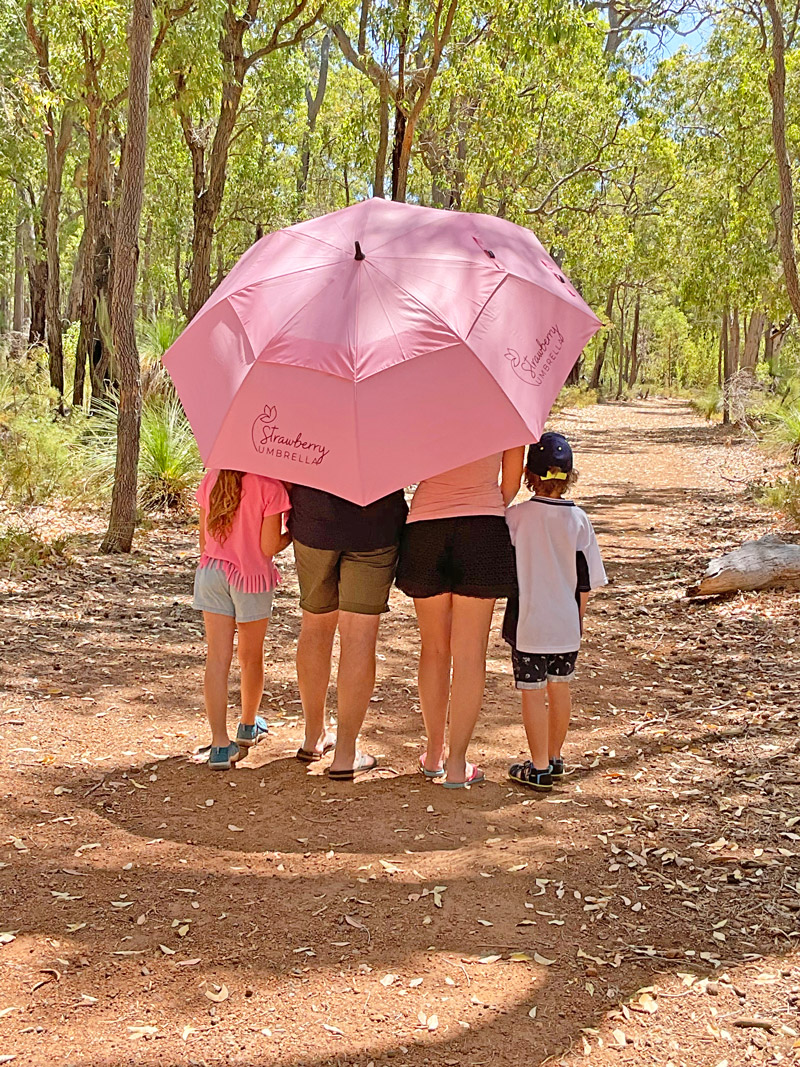 strawberry umbrella small marriage ceremonies