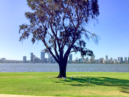 south perth offshore Silver sands beach mandurah strawberry umbrella short wedding ceremony